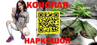 дмт Чебоксары