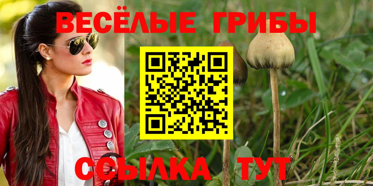 Псилоцибиновые грибы GOLDEN TEACHER Астрахань